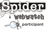 Spider WebWatch